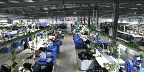 湖北翔馳運(yùn)動(dòng)用品 以信息系統(tǒng)集成服務(wù)加快培育新質(zhì)生產(chǎn)力，賦能企業(yè)創(chuàng)新發(fā)展